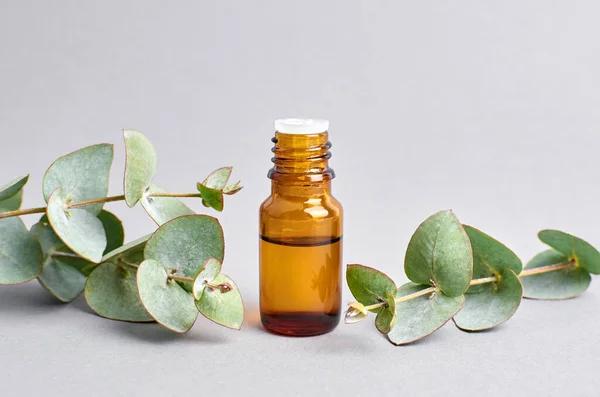 Eucalyptus Oil (Eucalyptus Globulus Leaf Oil) | CAS 8000-48-4 | 1,8-Cineole ≥ 80%